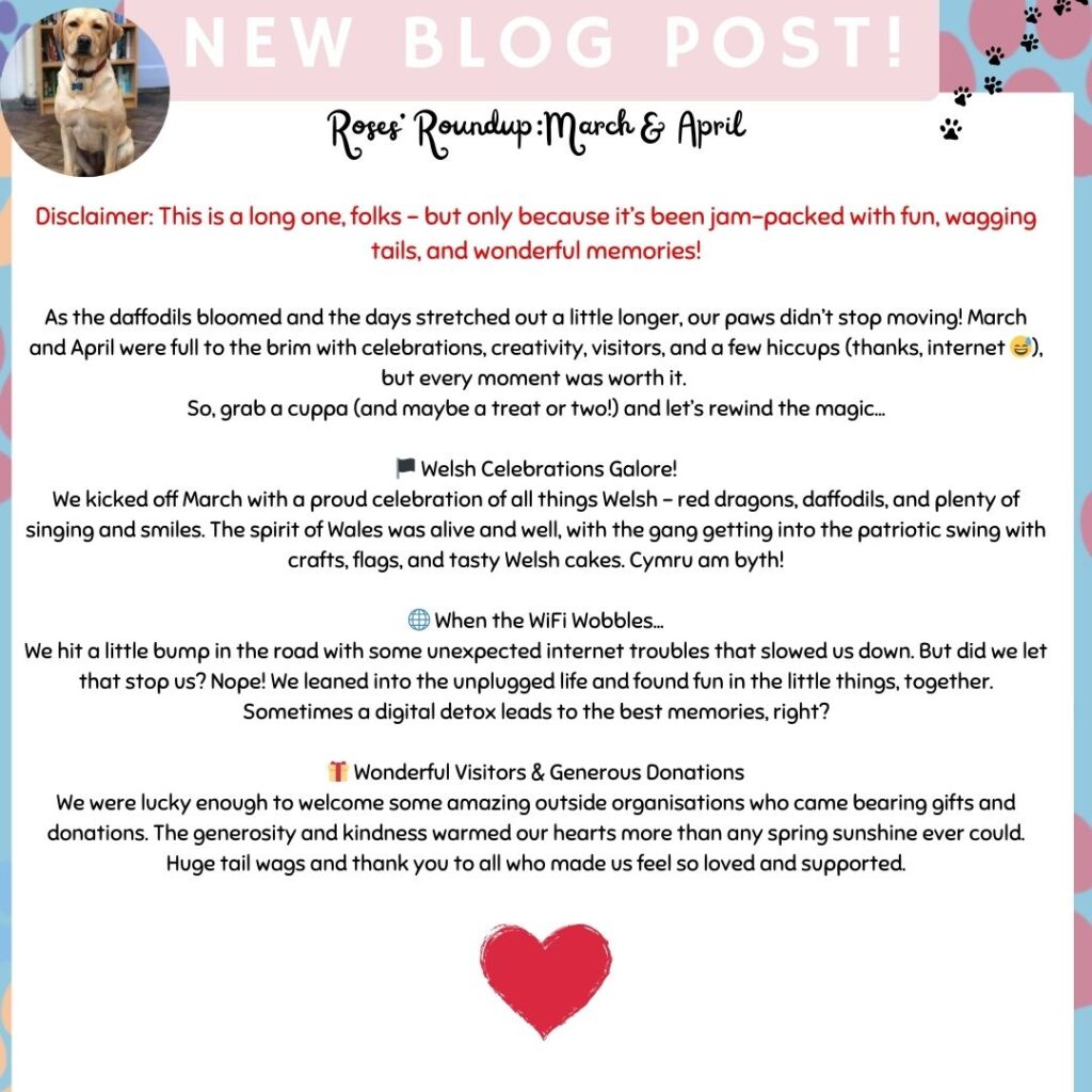 Me Myself and I – Neath Port Talbot