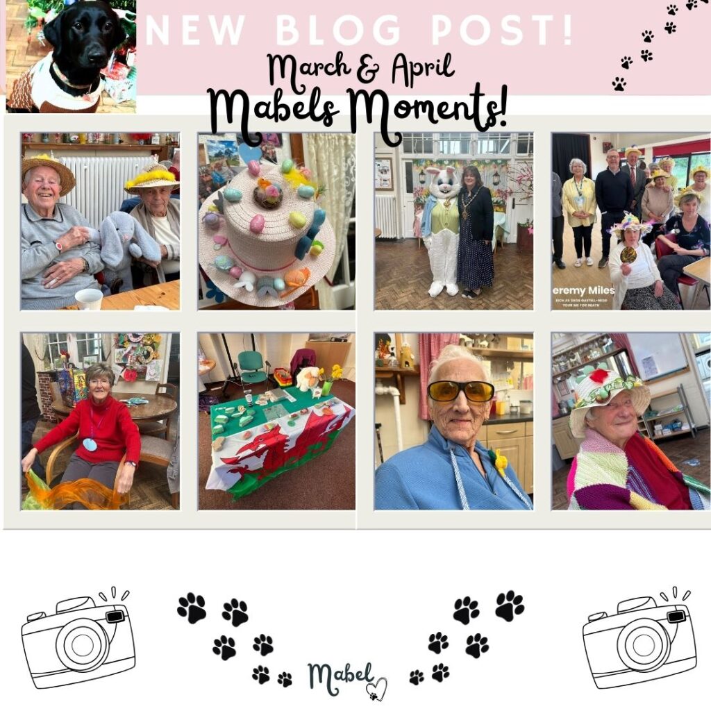 Me Myself and I – Neath Port Talbot