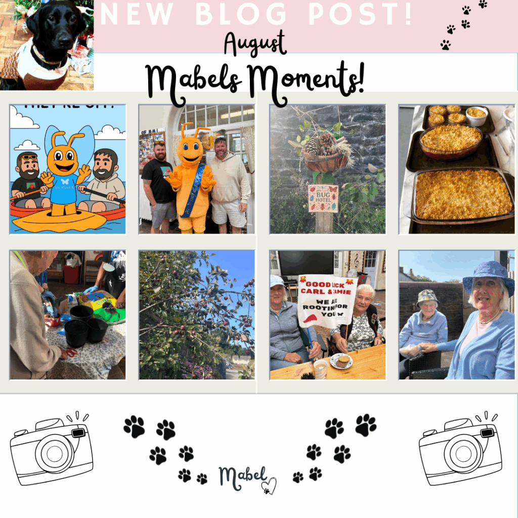 Me Myself and I – Neath Port Talbot